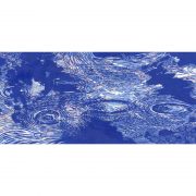 movimiento-web